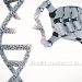 investing in gene editing and personalized medicine