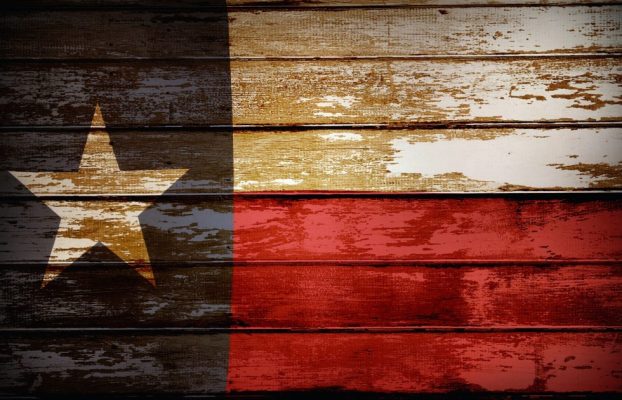 Texas’s Affordable Living Model Explained