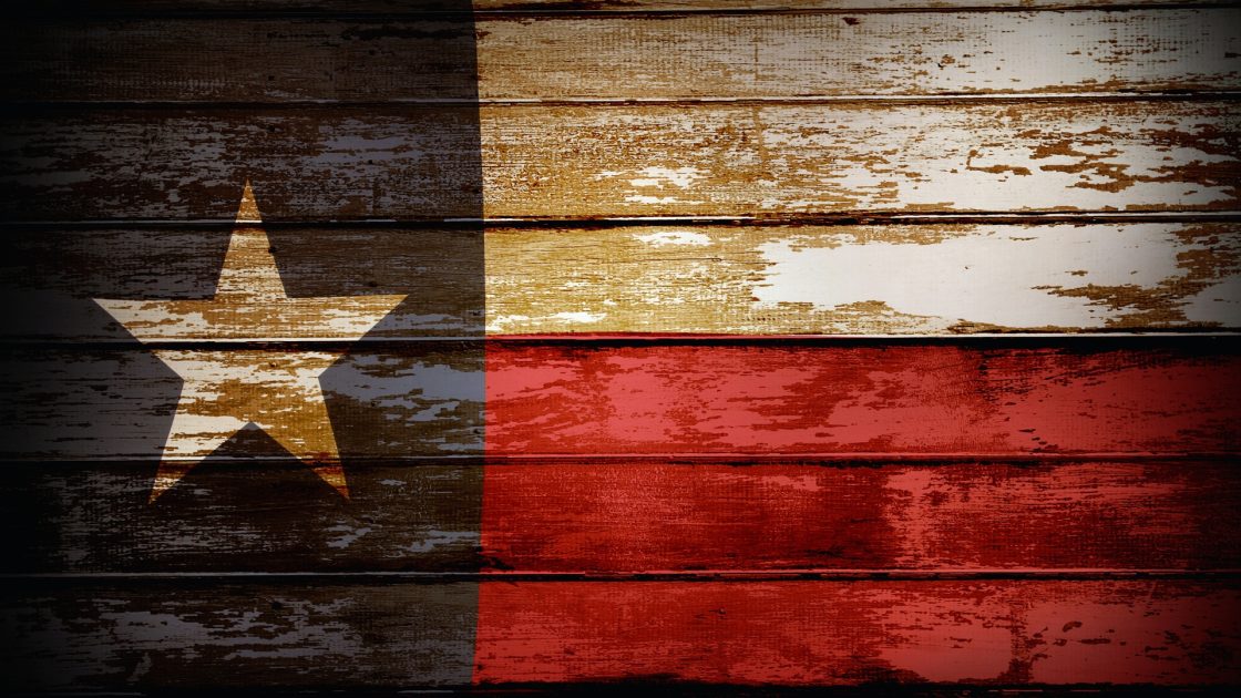 Texas’s Affordable Living Model Explained