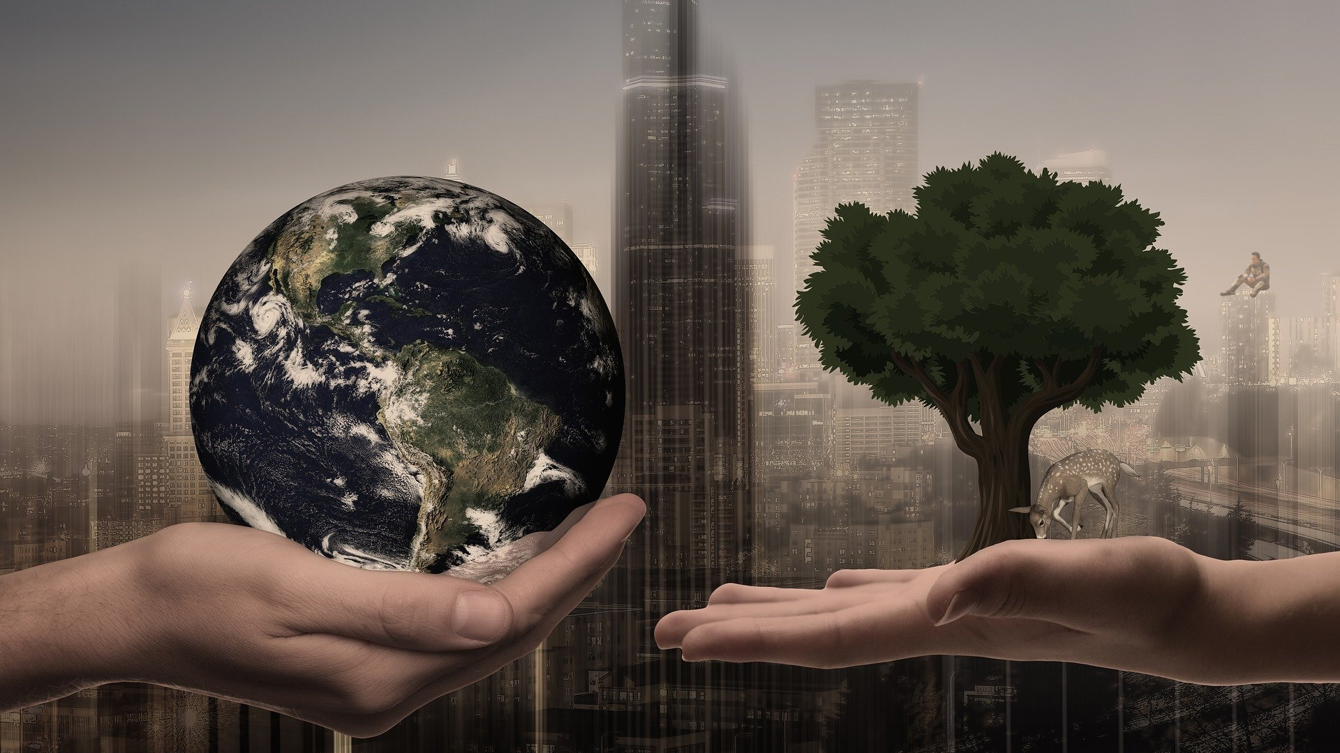 Why U.S. Institutional Investors Must Prioritize Sustainability Info